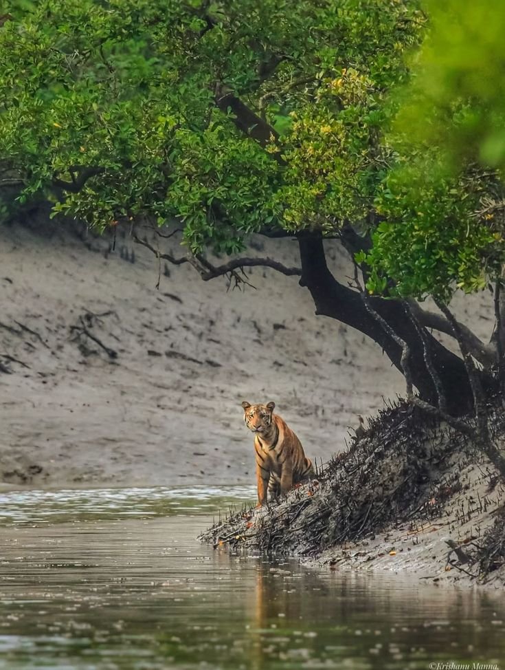 Thekkady
